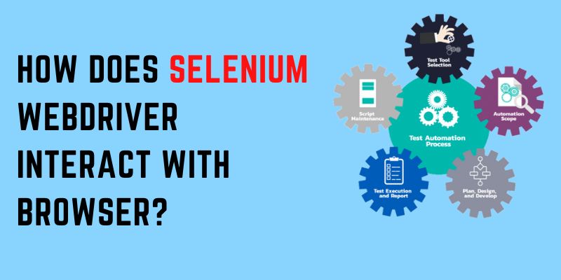 How does Selenium WebDriver interact with Browser?