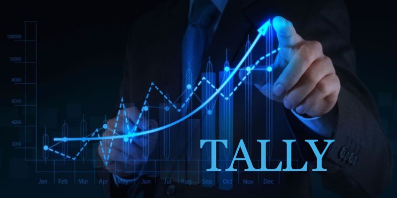 How Can Beginners Get Started with Tally?